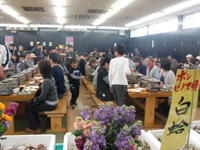 20110401_05.jpg 20110401_05.jpg
