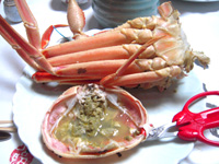 20110401k03.jpg