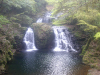 20110515o1.jpg 20110515o1.jpg