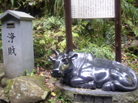 20110515o2.jpg 20110515o2.jpg