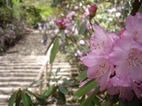 20110515o4.jpg 20110515o4.jpg