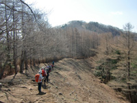 20110518sha3.jpg 20110518sha3.jpg
