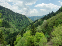 20110518sha5.jpg 20110518sha5.jpg