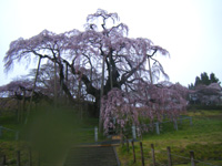 20110524u2.jpg 20110524u2.jpg