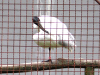 20110615na01.jpg 20110615na01.jpg