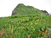 20110615na05.jpg 20110615na05.jpg