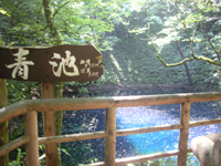 20110815o05.jpg 20110815o05.jpg