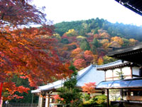 20111215s01.jpg