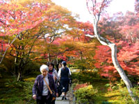 20111215s02.jpg