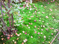 20111215s03.jpg