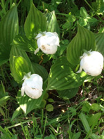 120625S04.jpg