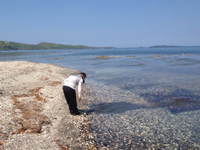 120625S06.jpg