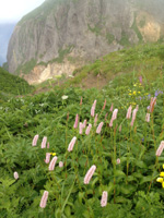 120625S11.jpg
