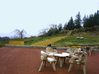20120401S2.jpg