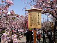 20120416k02.jpg