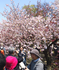 20120416k03.jpg
