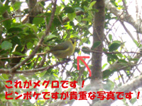 20120515O3.jpg