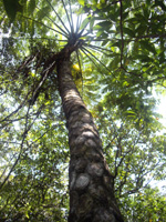 20120515O5.jpg
