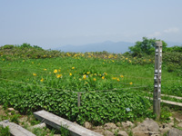 20120723K1.jpg
