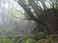 20120926O02.jpg