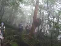 20120926O03.jpg