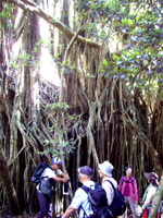 20120926O05.jpg