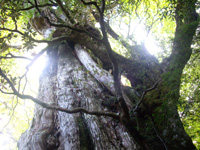 20120926O09.jpg
