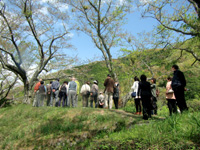 20130417F2.jpg 20130417F2.jpg