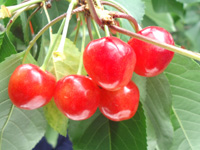 20130628K1.jpg 20130628K1.jpg