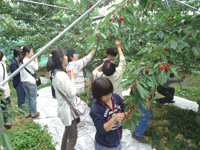 20130628K2.jpg 20130628K2.jpg