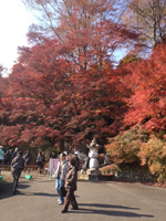 131117N02.jpg 131117N02.jpg