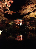 20121126S01.jpg 20121126S01.jpg