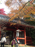 20121126S02.jpg 20121126S02.jpg