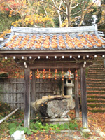 20121126S03.jpg 20121126S03.jpg