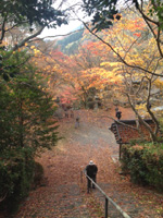 20121126S04.jpg 20121126S04.jpg