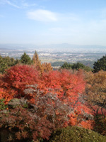 20121126S05.jpg 20121126S05.jpg