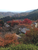 20121126S06.jpg 20121126S06.jpg