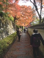 20121126S07.jpg 20121126S07.jpg