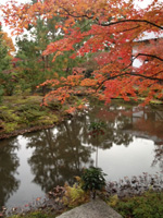 20121126S08.jpg 20121126S08.jpg