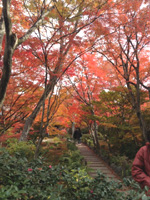 20131126S09.jpg 20131126S09.jpg