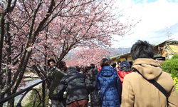 20140223F05.jpg 20140223F05.jpg