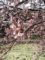20140223F07.jpg 20140223F07.jpg