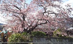 20140223F08.jpg 20140223F08.jpg
