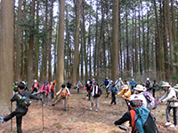 20140413n3.jpg 20140413n3.jpg