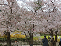 20140420s1.jpg 20140420s1.jpg