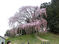 20140420s2.jpg 20140420s2.jpg