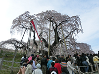 20140420s3.jpg 20140420s3.jpg