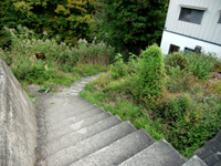 121116KS06.jpg
